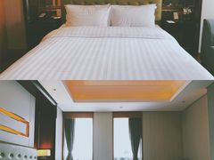 -成都明宇丽雅饭店