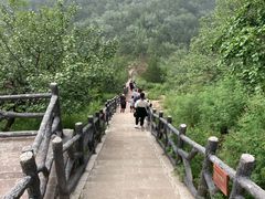 -磬锤峰森林公园