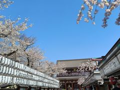 -浅草寺