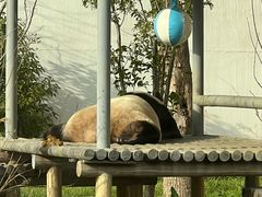 -苏州太湖国家湿地公园
