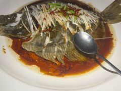 -开海·红岛海鲜虾水饺(石老人店)