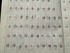 -赵汝飞练字硬笔书法(静安大融城校区)