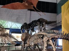 -湖南省地质博物馆