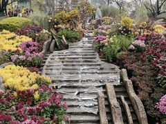 -南山植物园