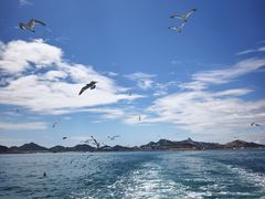 -海驴岛(荣成市)