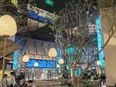 -桂满陇·海市蜃楼·黑金(国金店)