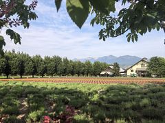 -富田农场