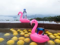 -天目湖涵田半山温泉