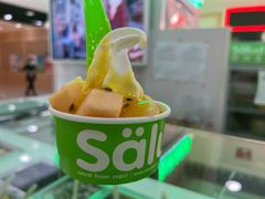 -Salud撒露欧洲冻酸奶(五道口购物中心店)