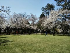 -水前寺成趣园