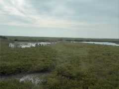 -北海金海湾红树林生态旅游区