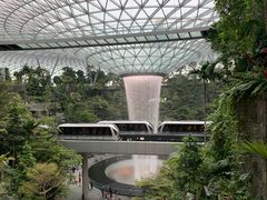 -樟宜机场免税店