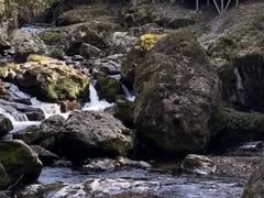 -龙苍沟森林公园