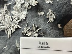 -贵州省地质博物馆