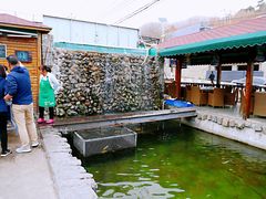 -京北渔家傲