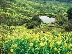 -婺源月亮湾