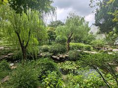 -松鹤楼(山塘街店)