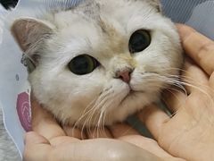 -中农国际动物医院24小时·猫科·骨科·急重症中心