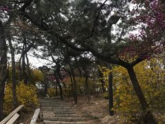 -浮山香苑