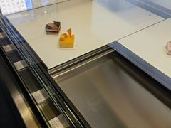 -BLACKSWAN黑天鹅(环球店)