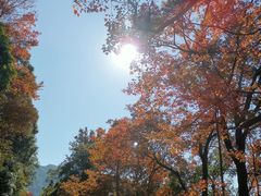 -广州市石门国家森林公园