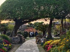 -南宁南湖公园