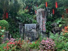 -广州市流溪河国家森林公园
