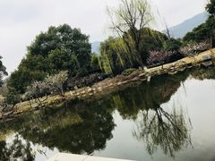 -白马涧龙池景区
