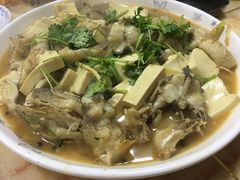 -煲来饱去冷水鱼