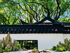 -上海醉白池公园