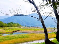 -白鹭湾湿地公园