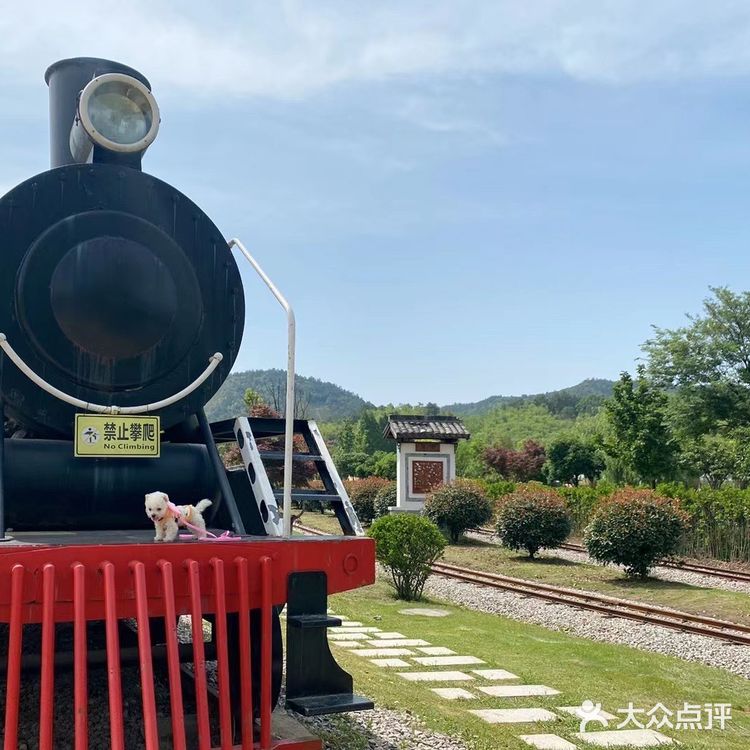 安吉鲁家村小火车免费游乐场糖果