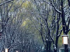 -唐城墙遗址公园