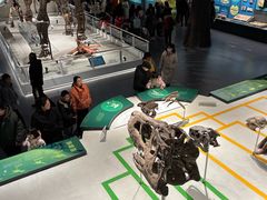 -国家自然博物馆