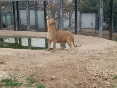-西安秦岭野生动物园