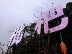 -伴山茶苑·围炉煮茶
