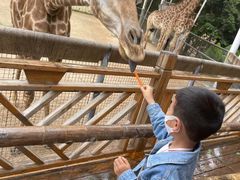 -泉州海丝野生动物世界