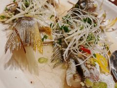 -龙悦湾酒家·八阵鱼生·渔人码头店