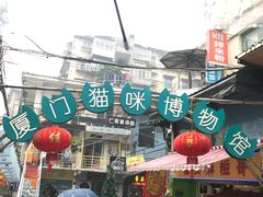 -猫咪博物馆(顶澳仔猫街店)