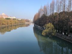 -运河游船(武林门码头)