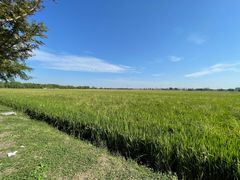 -嘉北郊野公园