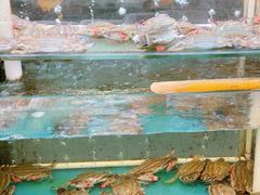 -金沙滩海鲜餐厅·海肠捞饭·手工水饺(梅江龙水园店)