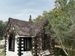 -共青国家森林公园-售票处