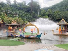 -西双版纳原始森林公园