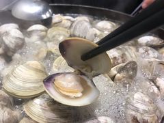 -拾下卜卜贝•海鲜火锅