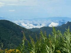-云岫谷自然风景区