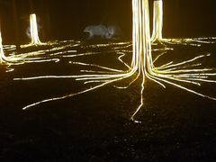 -崇明东平国家森林公园烧烤房车露营地