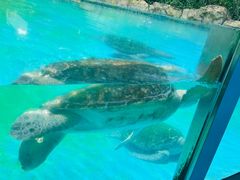 -珠海长隆海洋王国