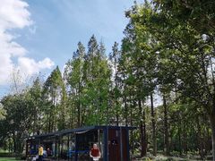 -昆山城市生态森林公园