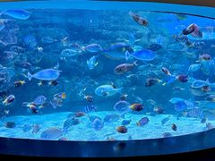 -海合安成都极地海洋公园